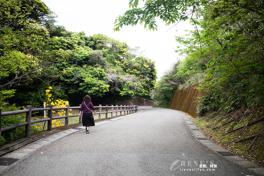 位於海岸旁的海蝕洞內充滿能量的鵜戶神宮，一定要挑戰「投擲運玉」讓願望成真