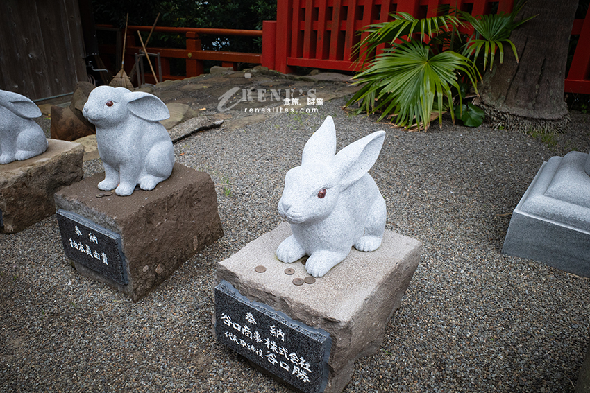 位於海岸旁的海蝕洞內充滿能量的鵜戶神宮，一定要挑戰「投擲運玉」讓願望成真